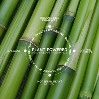 Clear mascara and brow gel with rice bran wax bamboo extract olive oil and lupine protein