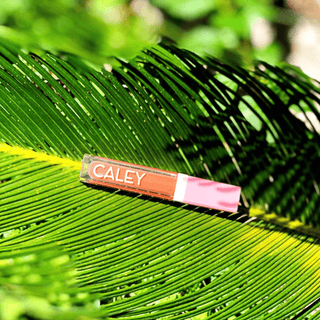 Beachy Kiss all natural lip oil with probiotics, a clean alternative to e.l.f. lip oil, hydrates, exfoliates, and nourishes lips with fruit-powered ingredients