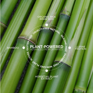Clear mascara and brow gel with rice bran wax bamboo extract olive oil and lupine protein