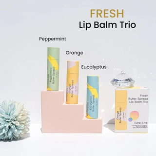 Eco-friendly lip balm gift set with natural kids chapstick, safe chapstick for kids in fresh and sweet flavors